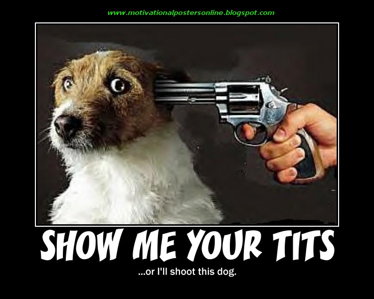 i like your tits movie voyeur wc